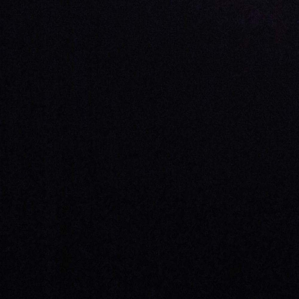 Harley Davidson women’s jeans